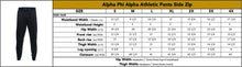 Load image into Gallery viewer, Alpha Phi Alpha Side Zip Pants
